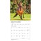 BrownTrout; Chevaux | 2027 12 x 24 Inch (Hanging) Monthly Square Wall Calendar | French Language; Category:Wall Calendars; Image:5
